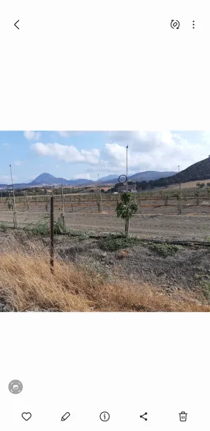 Finca en la vega del Guadiaro