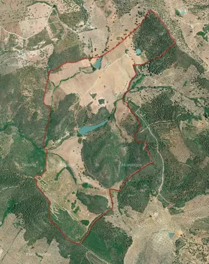Finca de Regadío en Los Pedroches, Córdoba
