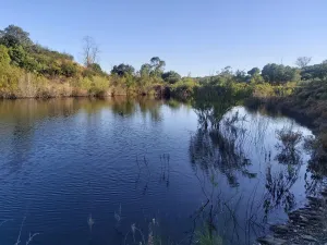 Finca de Lujo a 45km de Sevilla