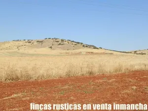 finca venta 326 has labor ganadera en Almagro