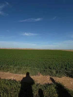 FINCA DE REGADIO EN QUINTO DE EBRO