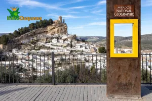 PRECIOSO TERRENO DE RECREO EN MONTEFRIO