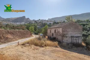 Terreno RÚSTICO con cortijo en Cogollos Vega
