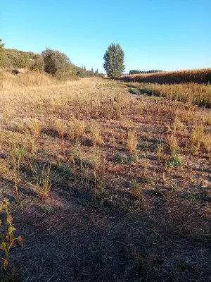 Tierra de regadío en La Maya Salamanca