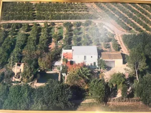 FINCA RUSTICA BITEM(TORTOSA)