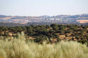 Finca Ganadera De 800ha Cerca De Cáceres