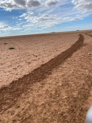 [gestifincarustica] - Tierra calma de  labor