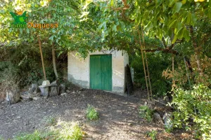 Terreno rústico con OLIVOS y caseta.