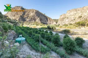 Finca rústica en  término de VELEZ DE BENAUDALLA.