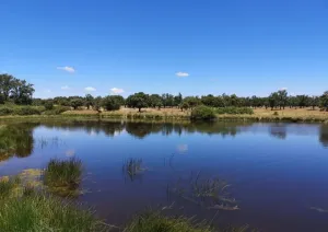GRAN FINCA RÚSTICA CON POTENCIAL HÍDRICO
