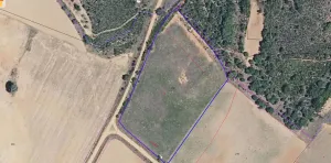 FINCA DE CEREAL DE SECANO EN BRIME DE URZ