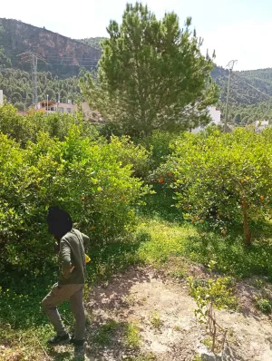 Terreno rústico en Los Lages - Los Garres