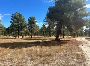 Finca de 10 Has en Avila (El Bohodon)