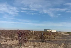 Finca en venta de 9 ha en Tomelloso