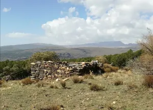 RUSTICA CON CORTIJO Y MANANTIAL