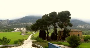 Finca rústica con producción ecológica y coto