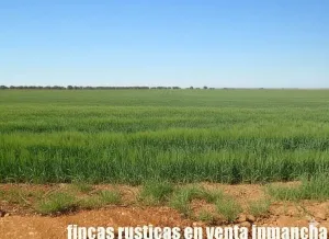 finca en venta 106 has. labor monte en Toledo