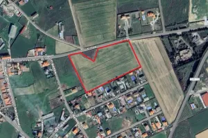 Se vende finca rústica 981 pol.2, VILLARALBO