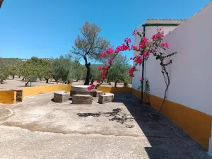 Finca rústica “El Coronel” Montilla