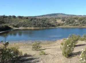 Finca en Alcaracejos