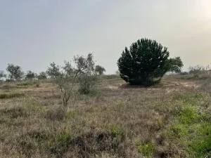 Finca La Fontanilla La Palma del Condado