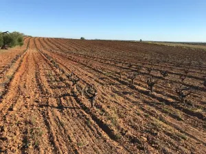 Terreno La Dehesa Nueva Almonte