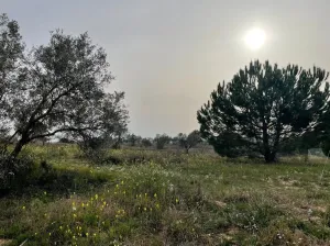 Finca Fontanilla La Palma del Condado