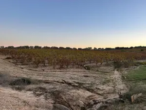 Finca con pozo Bollullos Par del Condado