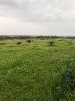 Finca de Recreo Bollullos Par del Condado