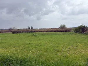 Terreno en Huelva Bollullos Par del Condado