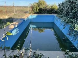 Finca con encanto  Bollullos Par del Condado