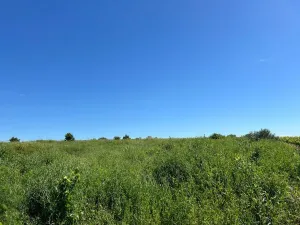 Terreno para comprar en Bollullos Par del Con