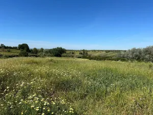 Terreno Rustico en Bollullos Par del Condado