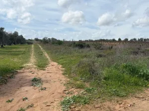 Finca en Huelva, Bollullos Par del Condado
