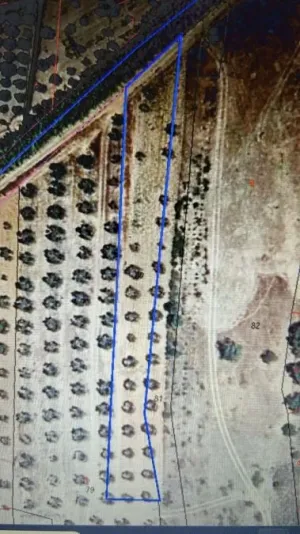 Terreno en Bollullos Par del Condado