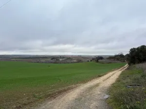 Finca Bollullos Par del Condado, Huelva