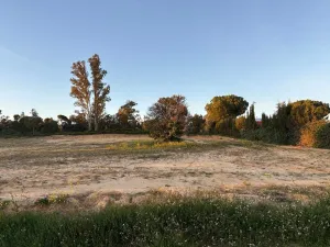 Finca Bollullos Par del Condado - Huelva