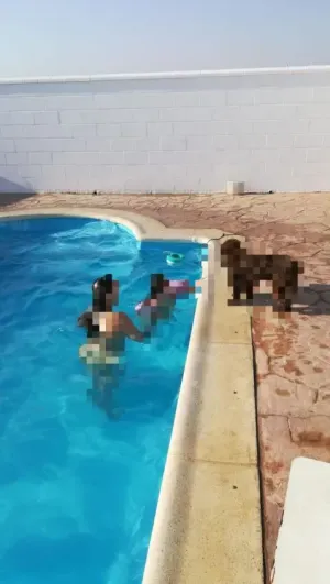 Finca rustica Bollullos Par del Condado