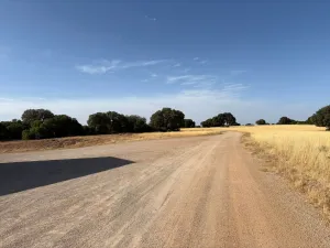 FINCA DE EXPOCISIÓN, VERDADERAMENTE DE PELICULA, UNA GRAN JOYA Y RICA EN LA CAZA DE PERDIZ Y CONEJO