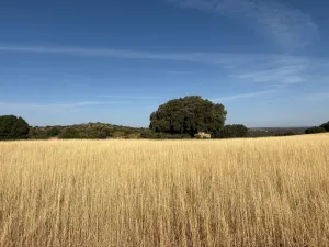 FINCA DE RECREO, CAZA VARIAS, VALLADA, BUENA NAVE, Y CONSTRUCCIONES.