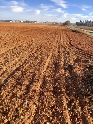 Tierra en Paraje de Santa Ana