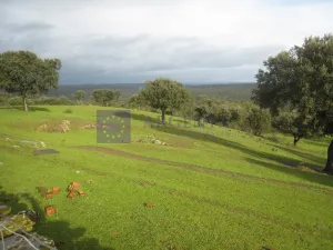 FINCA GANADERA DE UNAS 300 ha ALCANTARA