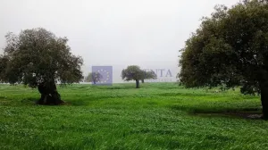 FINCA GANADERA DE UNAS 20 HA ALCUESCAR