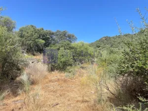 Finca 50 ha Alcuescar