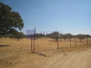 Finca Ganadera 550 ha Aliseda