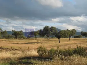 Finca 270 ha Monroy