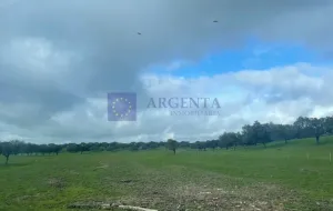 Finca Ganadera 500ha en Coria