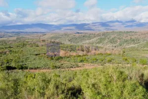 Finca 600ha Navalmoral de la Mata