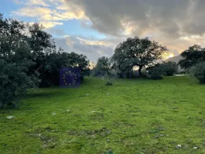 FINCA  110 HECTÁREAS EN LA ZONA DE ALCUESCAR