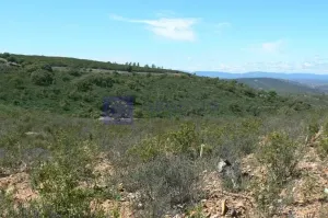 Finca Ganadera 500 ha Aliseda